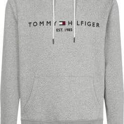 Tommy Hilfiger CORE TOMMY LOGO HOODY